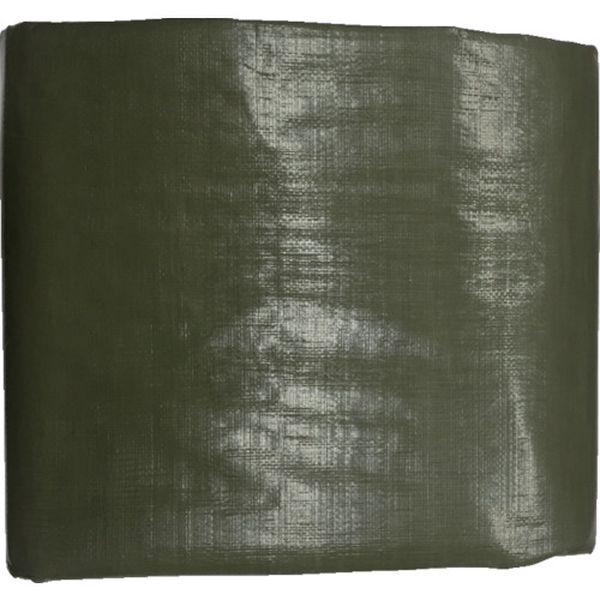 ＃4000 ODグリーンシート 5.4m×5.4m