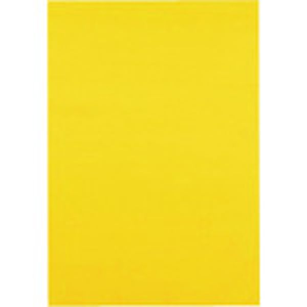 P144J3  381321色画用紙 4ツ切10枚 ひまわり