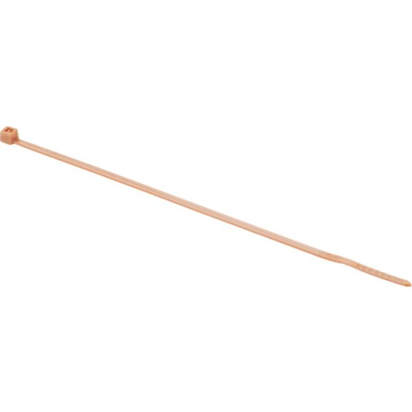 ナイロン結束バンド 茶 (1000本入)