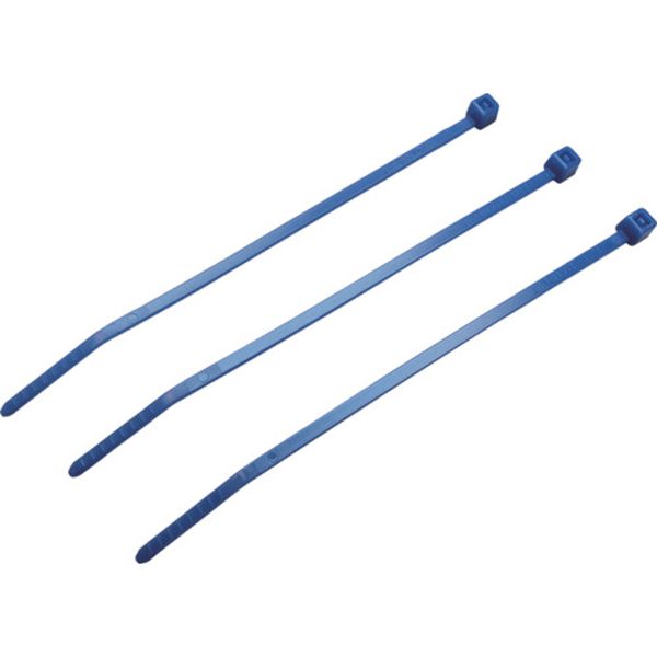 結束バンド パンタイ (1000本入)