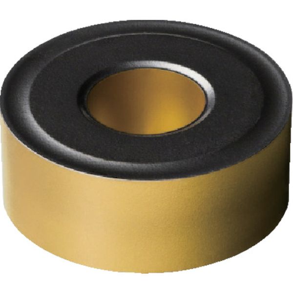 190600   T-MAXPチップ 3225 10個入り