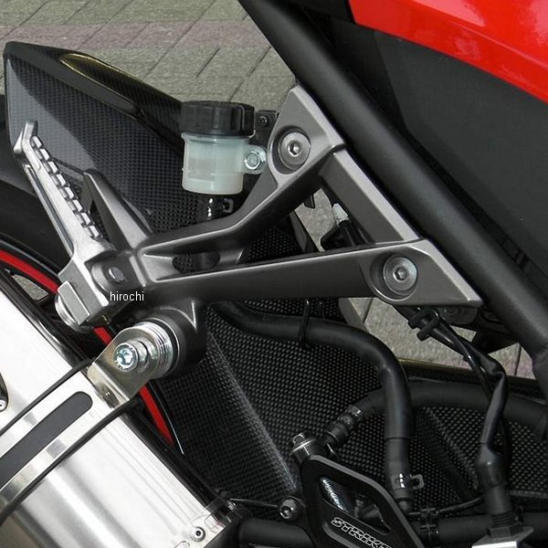 リアフェンダー ノーマルスイングアーム用 13年以降 ニンジャ250、ニンジャ250ABS カーボン