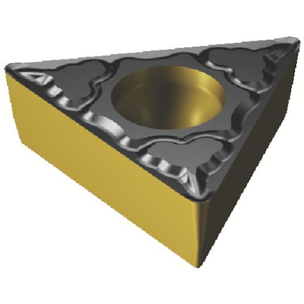 220408PM   T-MAXPチップ 4325 10個入り