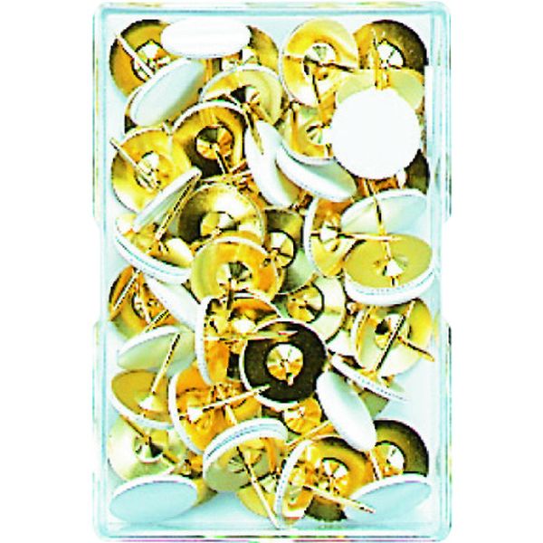 二重画鋲足長着色白 40本 M10138