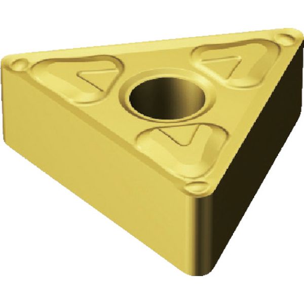 160404XF   T-MAXPチップ 4325 10個入り