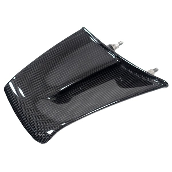 ウイングレット 右 (艶あり) 22年-23年 パニガーレV4S