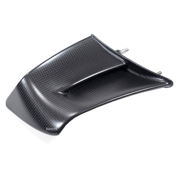 ウイングレット 右 (艶なし) 22年-23年 パニガーレV4S