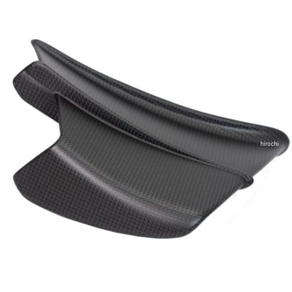 ウィングレット 右 (艶なし) 20年-21年 パニガーレV4S