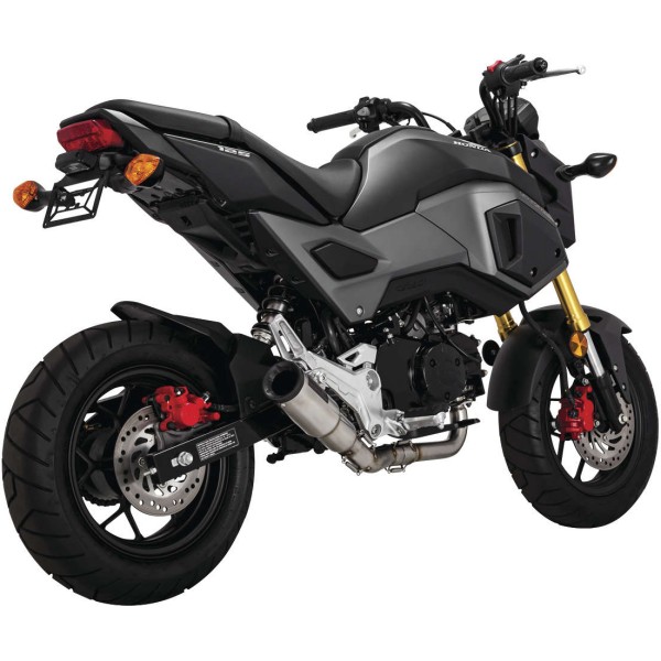 F/S Ss/Ss ハイアウトプット ホンダ グロム