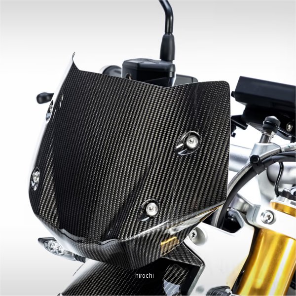 カーボンウインドシールド 19年-22年 R1250R
