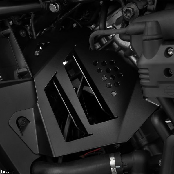 サイドフェアリング パンアメリカ1250