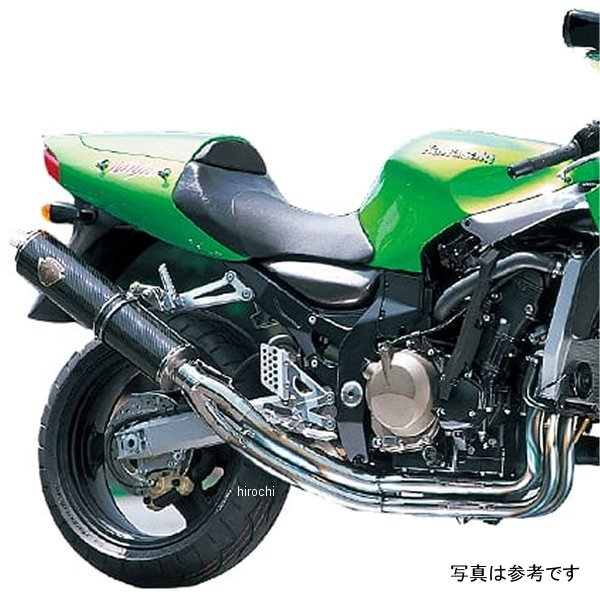 フルエキゾースト ワイバン シングル ZX-12R カーボン