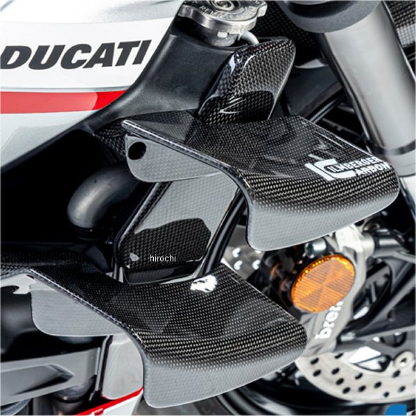 ラジエーターカバー 右側 艶あり 22年-23年 ストリートファイターV2