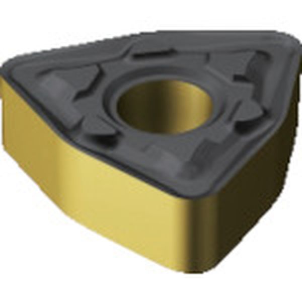 080408MM   T-MaxP チップ 2220 10個入り