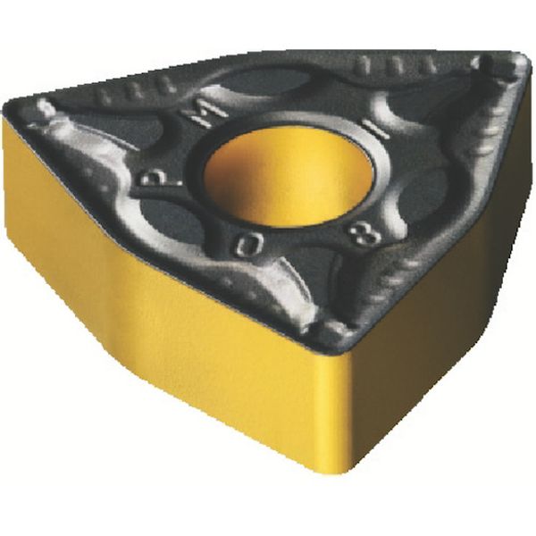 080408PM   T-MAXPチップ 4305 10個入り