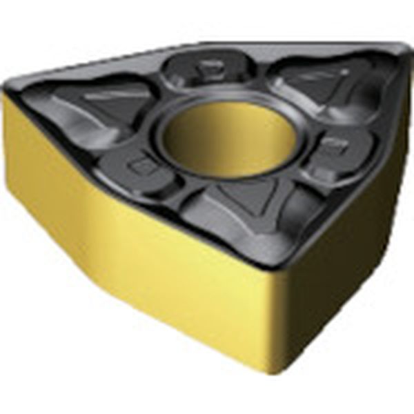 080412XM   T-MaxP チップ 2220 10個入り