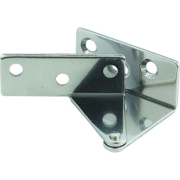 WP1Rステンレス鋼製WP型ヒンジ