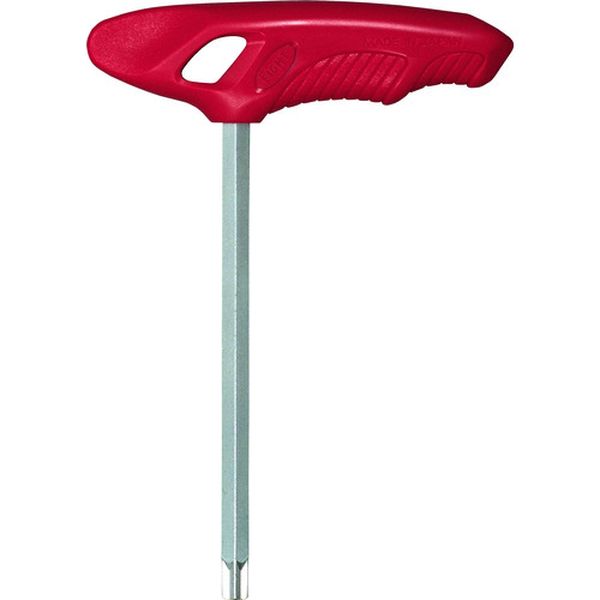 エイト トルクスプラスレンチ TORXplusレンチ T型 ハンガー付 40IP