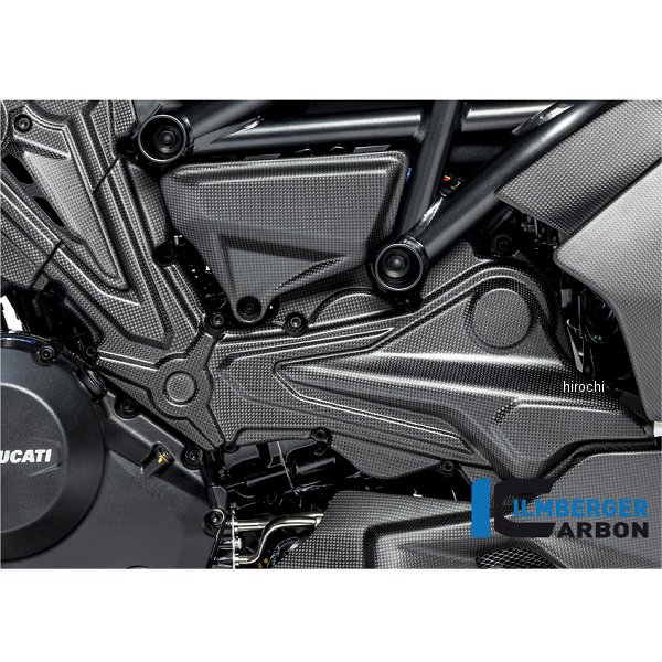 カムベルトカバー ホリゾンタル シリンダー 艶なし 19年-20年 ディアベル1260