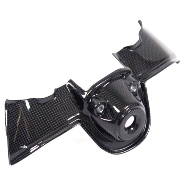 イグニッションスイッチカバー 艶あり 20年 ドゥカティ PANIGALE V4R カーボン