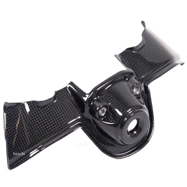 イグニッションスイッチカバー 艶あり 20年 ドゥカティ PANIGALE V4S カーボン