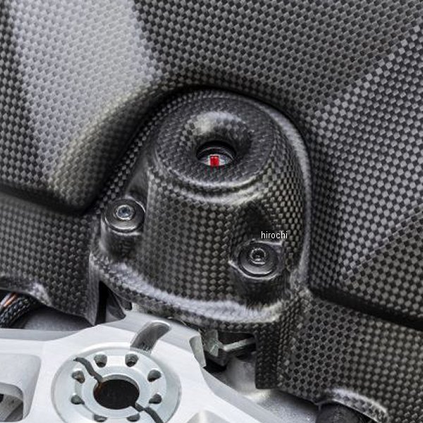 イグニッションスイッチカバー 艶なし 19年 ドゥカティ PANIGALE V4R マットカーボン