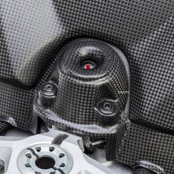 イグニッションスイッチカバー 艶なし 20年 ドゥカティ PANIGALE V4S マットカーボン