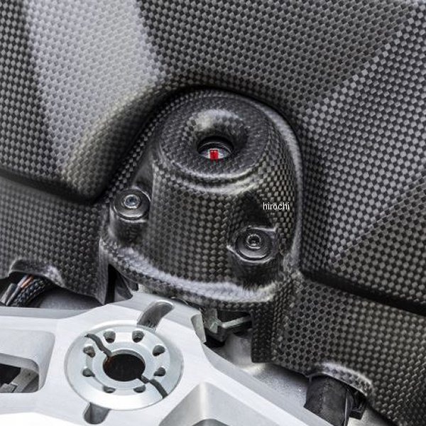 イグニッションスイッチカバー 艶なし 20年 ドゥカティ PANIGALE V4 マットカーボン