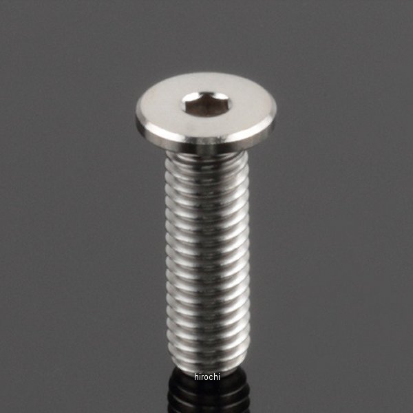 Z−チタン キャップスクリュー M6 P1.0 エクストラローヘッド 20mm