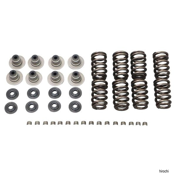 ヘビーデューティー バルブスプリングキット 17年- M8