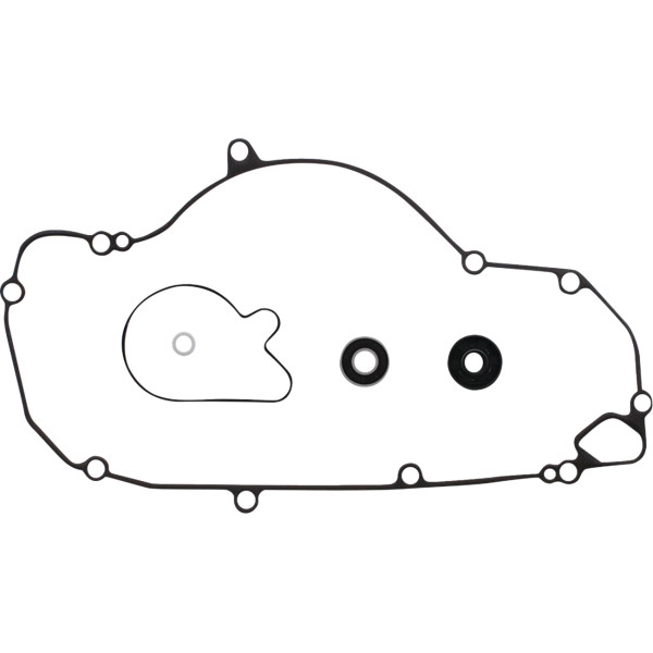 Water Pump Rebuild Kit