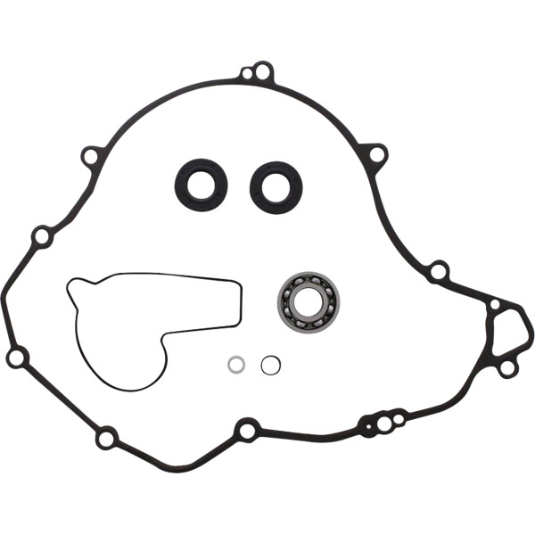 Water Pump Rebuild Kit