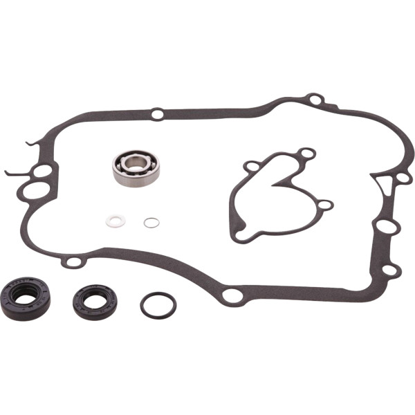 Water Pump Rebuild Kit