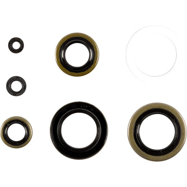 Oil Seal Kit