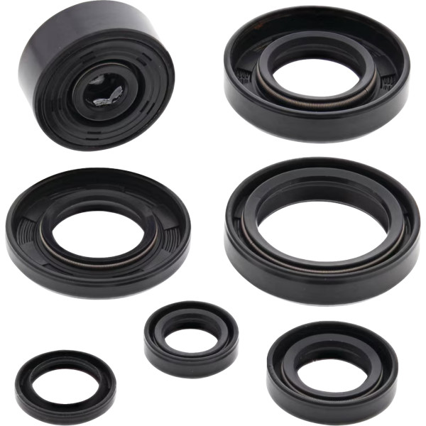 Oil Seal Kit