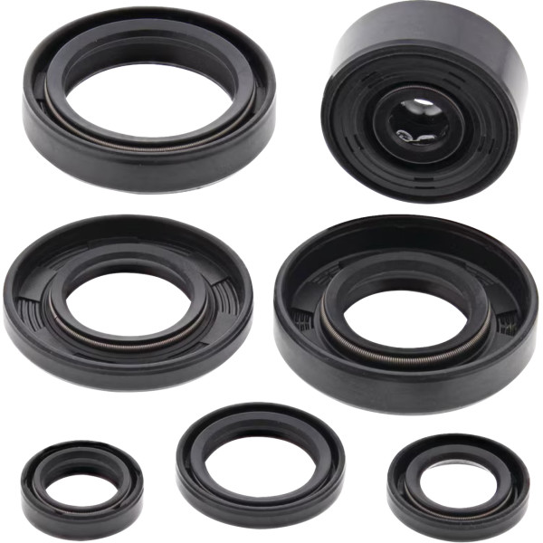 Oil Seal Kit