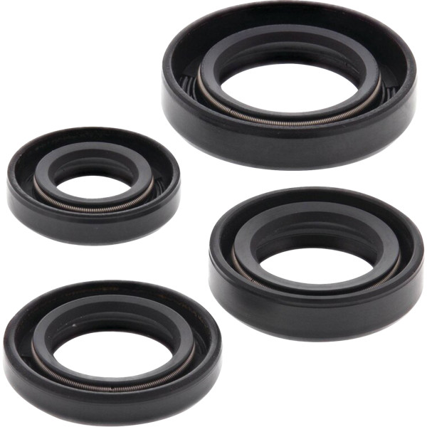 Oil Seal Kit