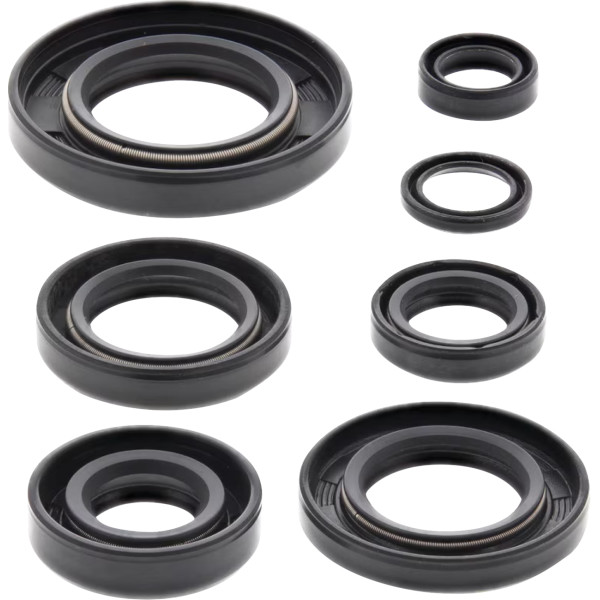 Oil Seal Kit