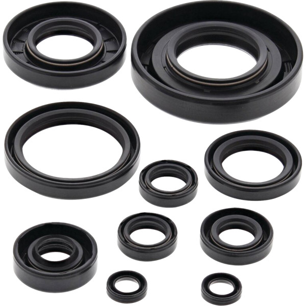 Oil Seal Kit