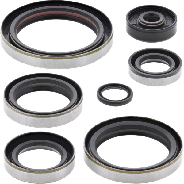 Oil Seal Kit
