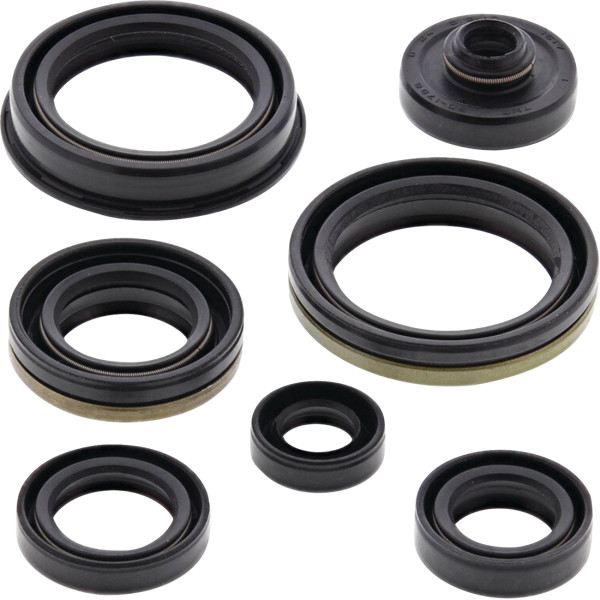 Oil Seal Kit