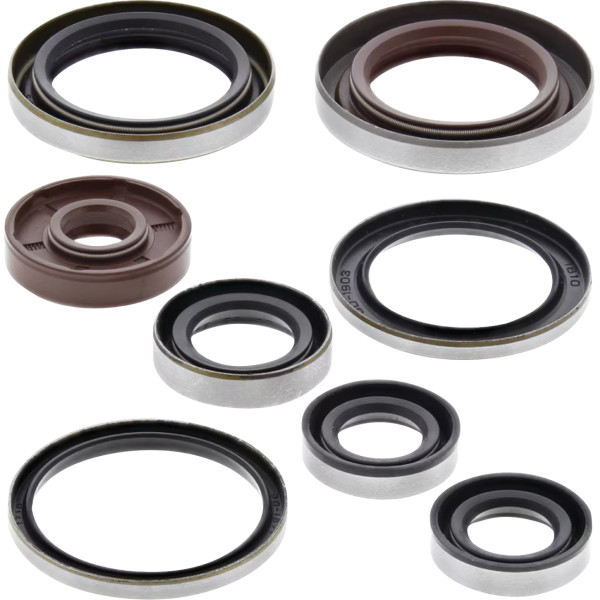Oil Seal Kit