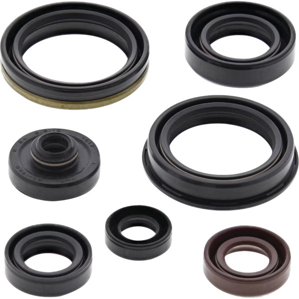 Oil Seal Kit