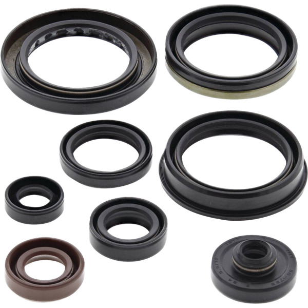 Oil Seal Kit