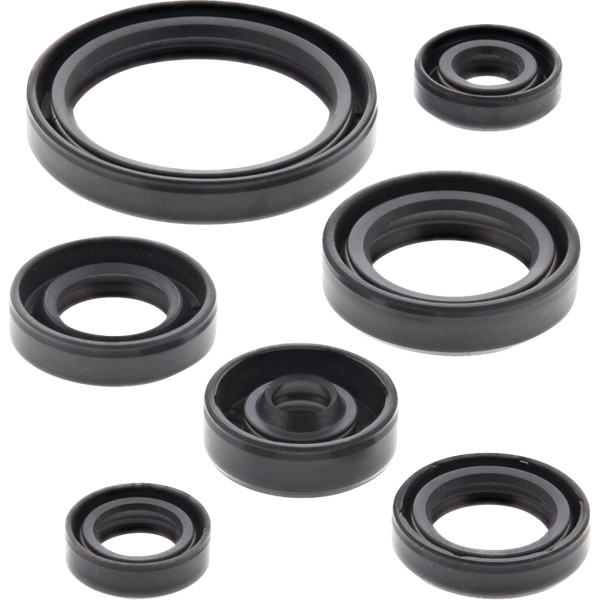 Oil Seal Kit