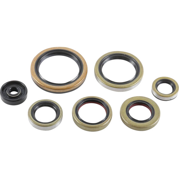 Oil Seal Kit