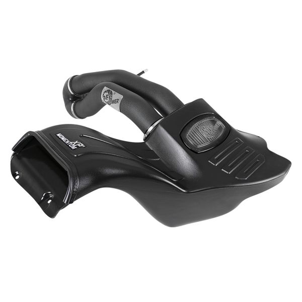 Momentum XP Pro DRY S Cold Air Intake System w/ Black Aluminum Intake Tubes