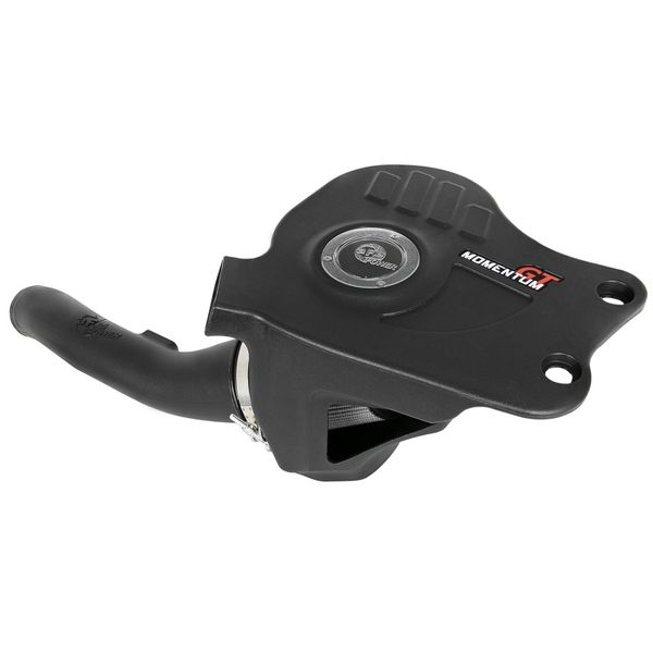 Momentum GT Pro DRY S Cold Air Intake System 12-16 BMW Z4 28i/xi (E89) I4 2.0L (t) N20