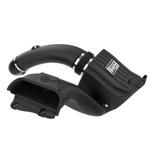 15-20 Ford F-150 Quantum Cold Air Intake System w/ Pro Dry S Filter
