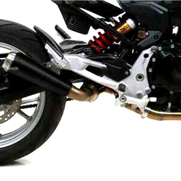 フルエキゾースト PRO RACE 20年-21年 BMW F900R ニクロムダーク/ステンレスエンド